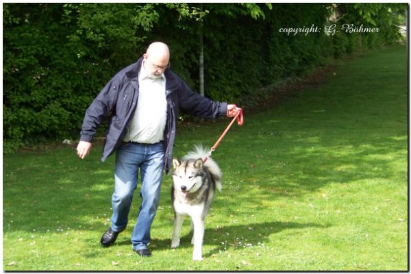 Zuchtzulassung 2010 020.JPG